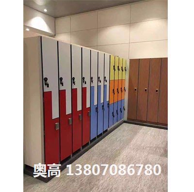 瑞金江西儲物柜廠家